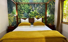 Crater Lakes Rainforest Cottages